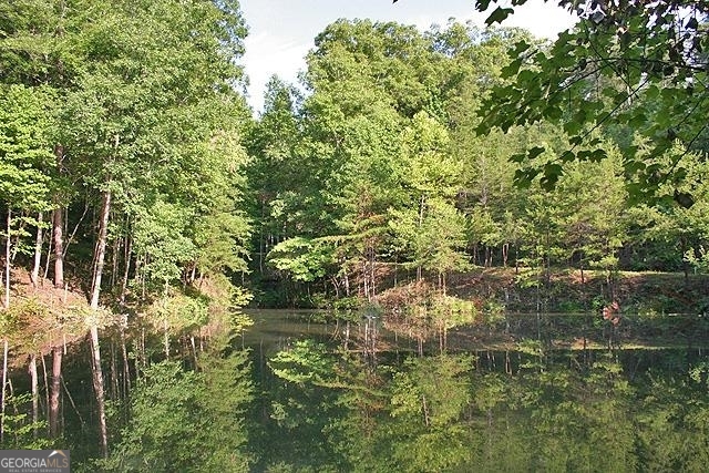 191+/- Acres Off Highway 136 Highway Dawsonville GA 30534