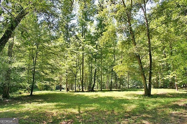 191+/- Acres Off Highway 136 Highway Dawsonville GA 30534