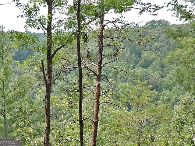 191+/- Acres Off Highway 136 Highway Dawsonville GA 30534