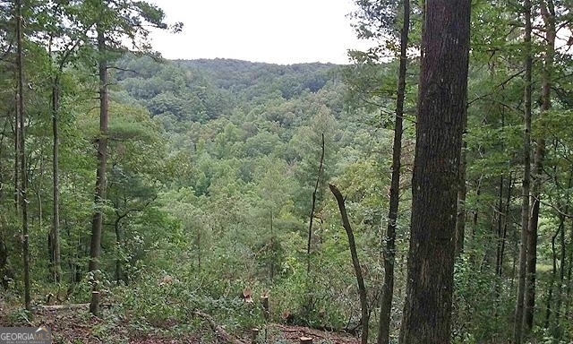 191+/- Acres Off Highway 136 Highway Dawsonville GA 30534