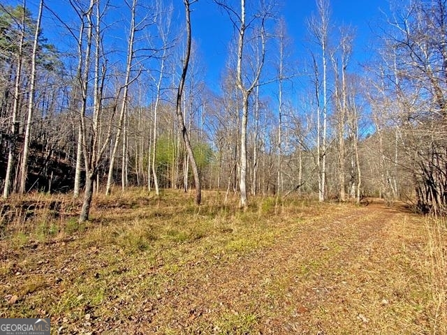 191+/- Acres Off Highway 136 Highway Dawsonville GA 30534