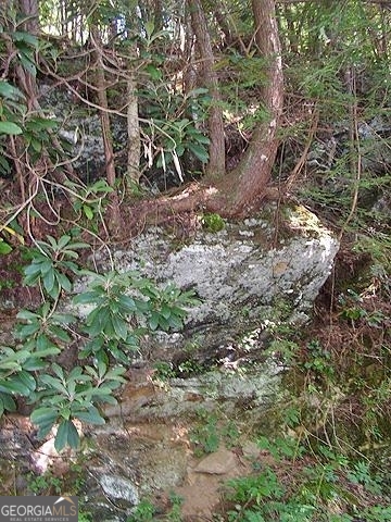 191+/- Acres Off Highway 136 Highway Dawsonville GA 30534