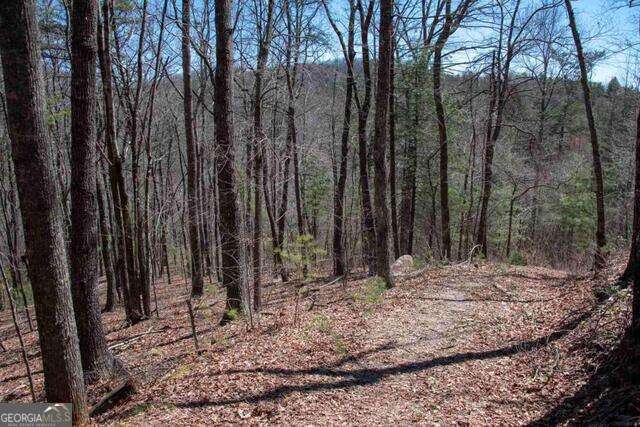 0 Round Top Clayton GA 30525