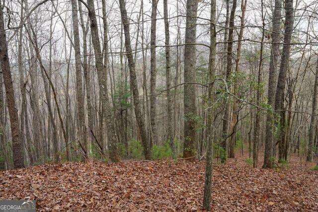 0 Round Top Clayton GA 30525