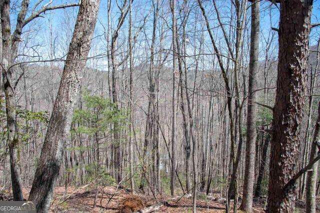 0 Round Top Clayton GA 30525