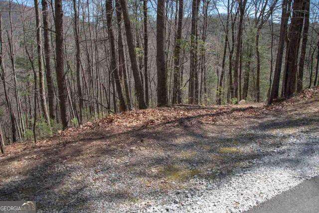 0 Round Top Clayton GA 30525