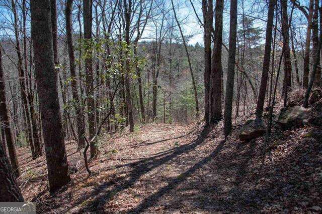0 Round Top Clayton GA 30525