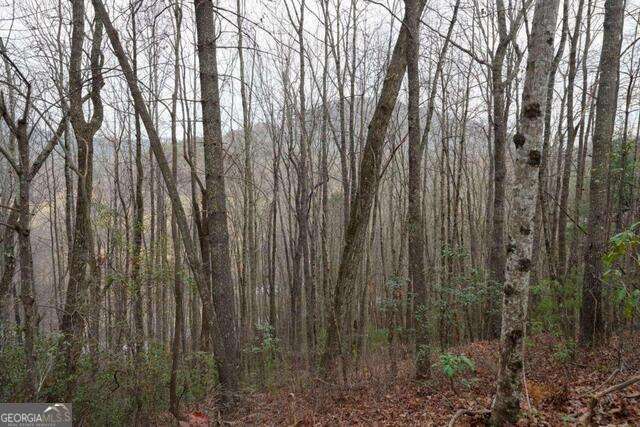 0 Round Top Clayton GA 30525
