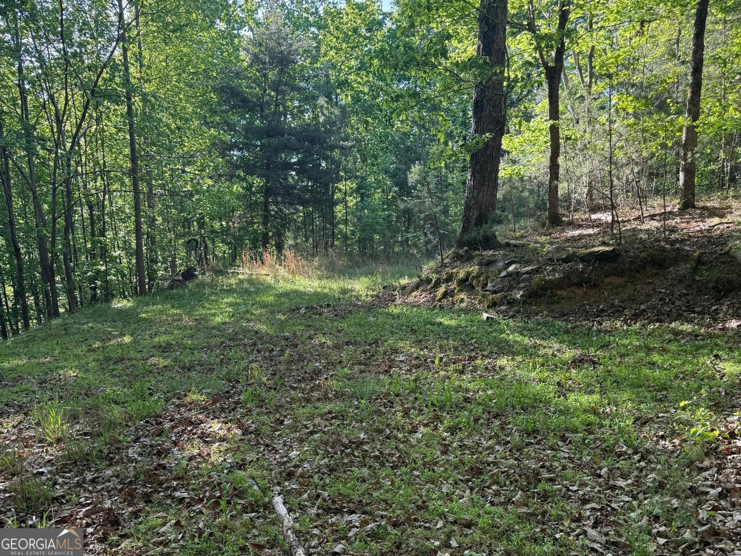 0 Baldwin Heights Drive Baldwin GA 30511