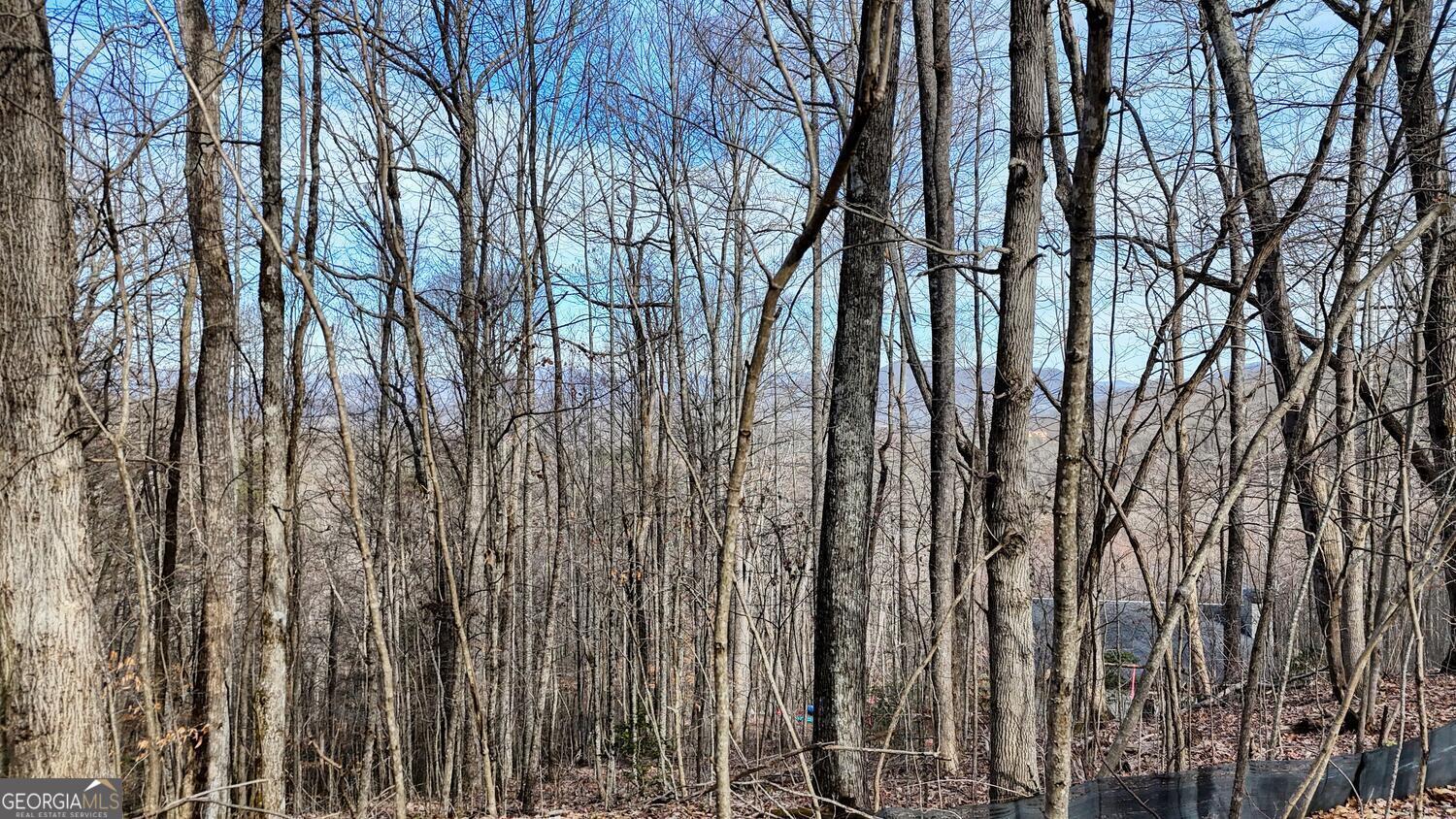 5 Overlook At Y.h Young Harris GA 30582