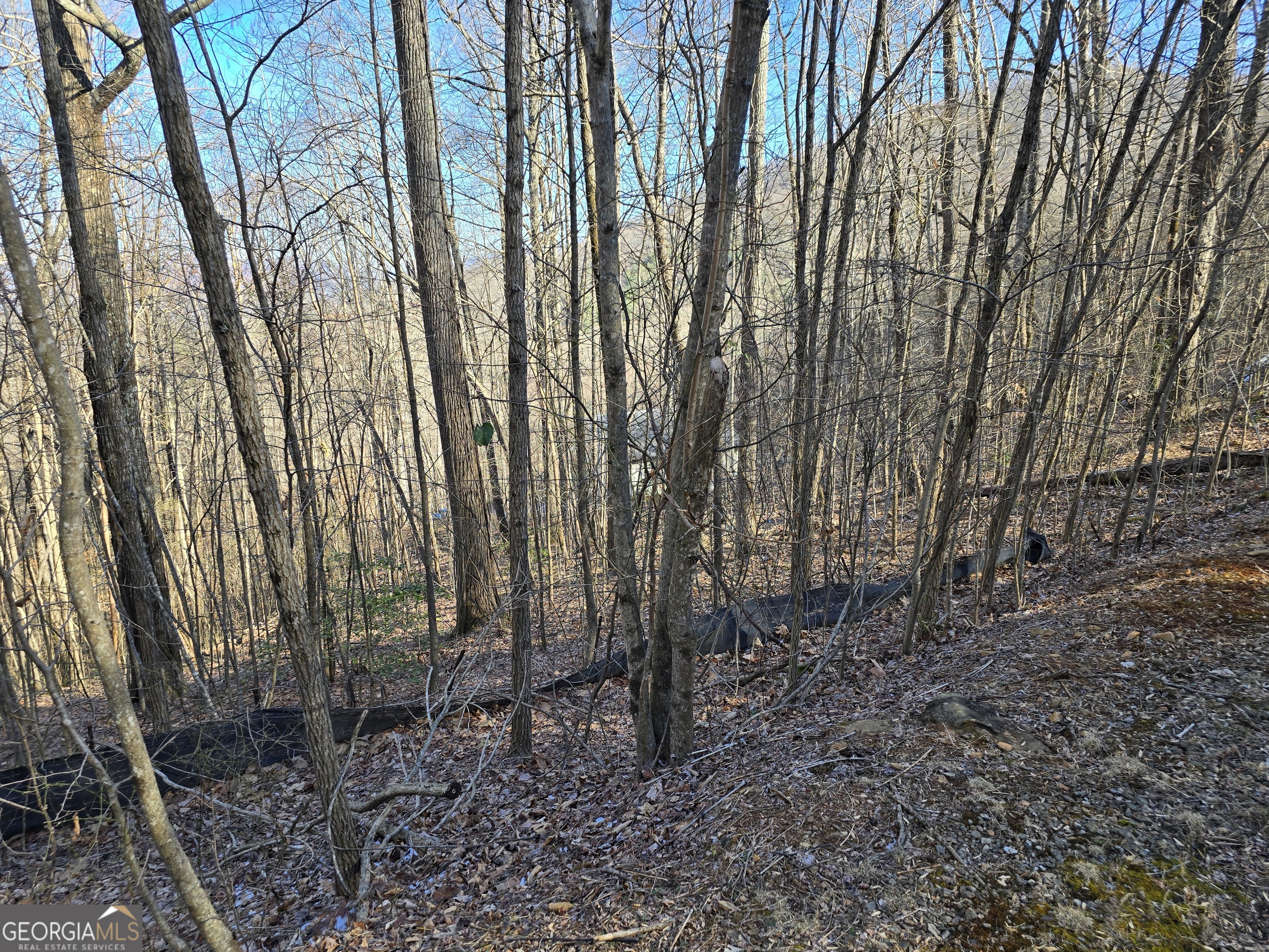 5 Overlook At Y.h Young Harris GA 30582