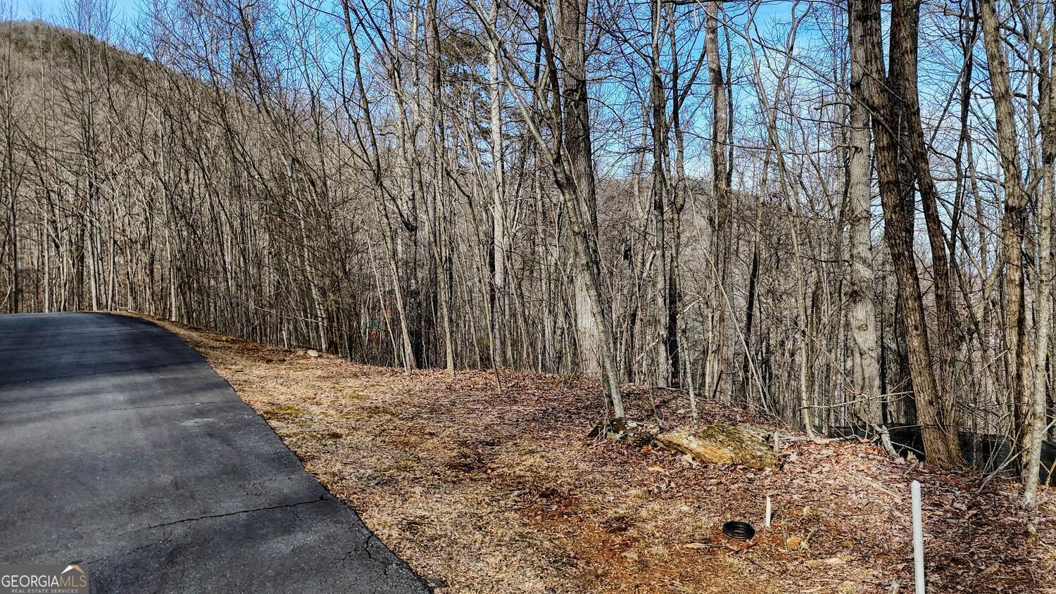 5 Overlook At Y.h Young Harris GA 30582