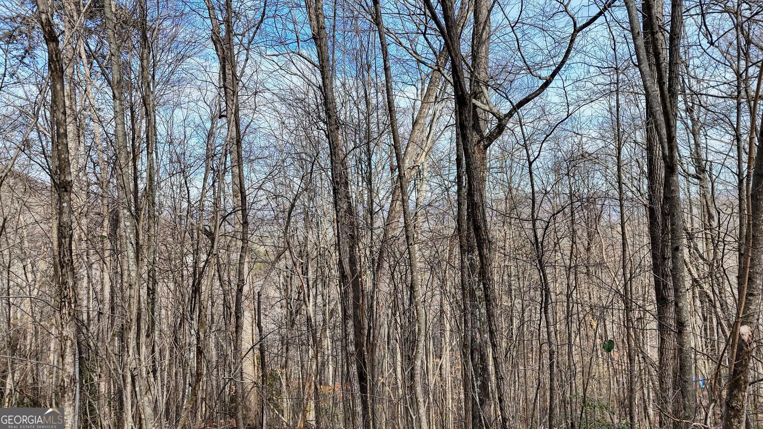 5 Overlook At Y.h Young Harris GA 30582
