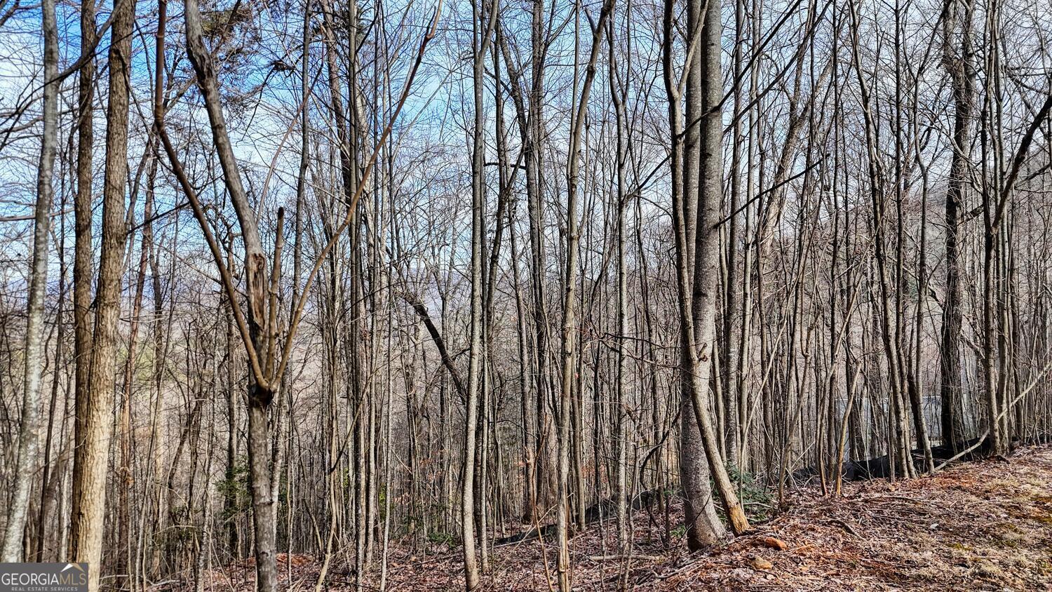 5 Overlook At Y.h Young Harris GA 30582