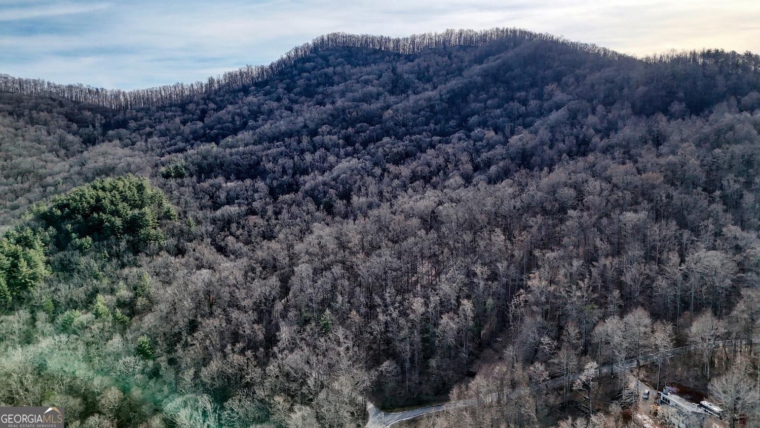 5 Overlook At Y.h Young Harris GA 30582