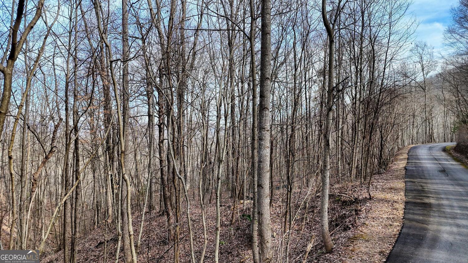 5 Overlook At Y.h Young Harris GA 30582