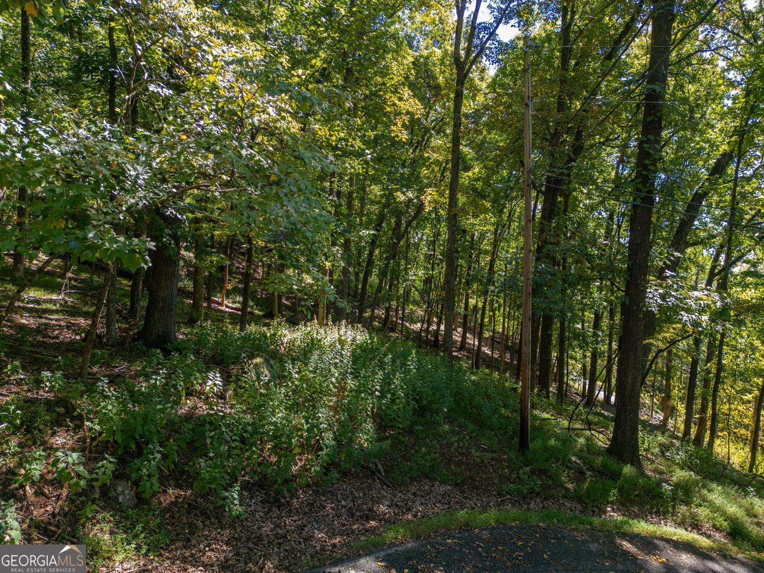 0 Valley View Vista Jasper GA 30143