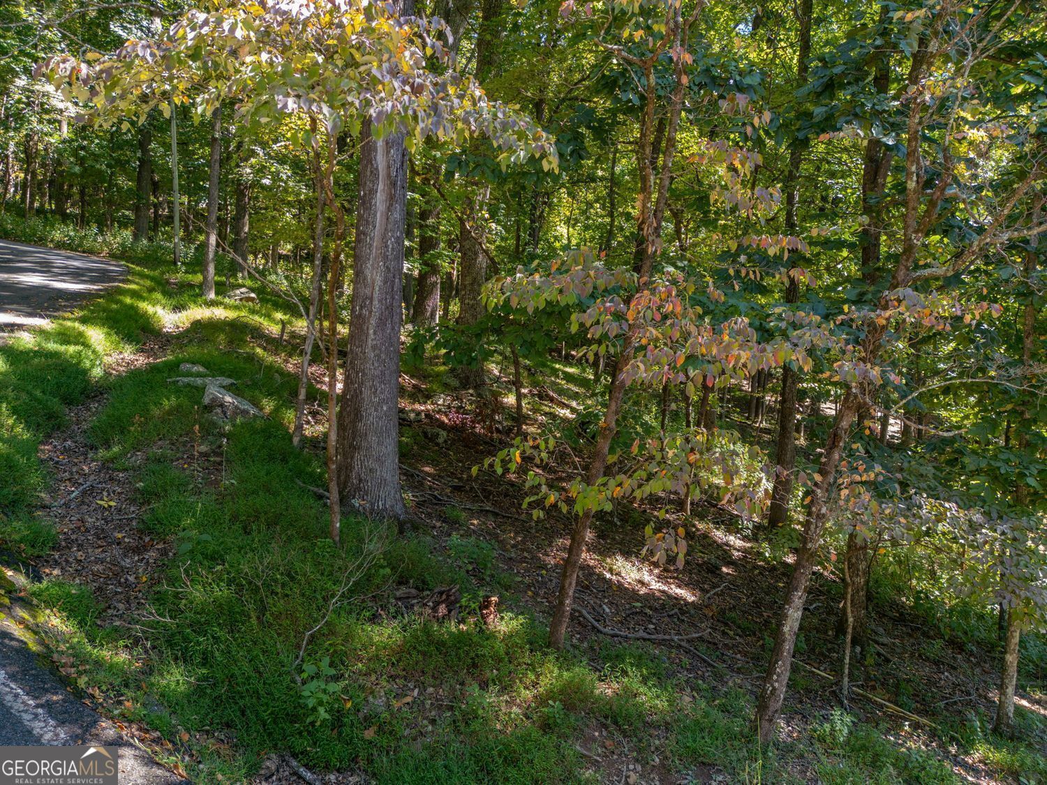 0 Valley View Vista Jasper GA 30143