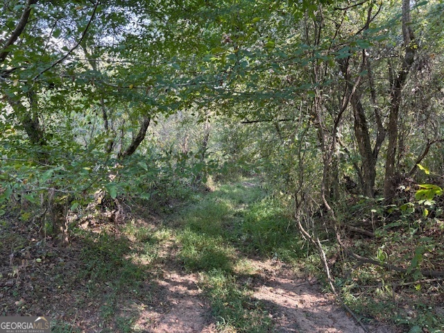 0 Old Esom Hill Loop Cedartown GA 30125