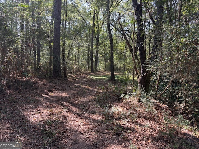 0 Old Esom Hill Loop Cedartown GA 30125