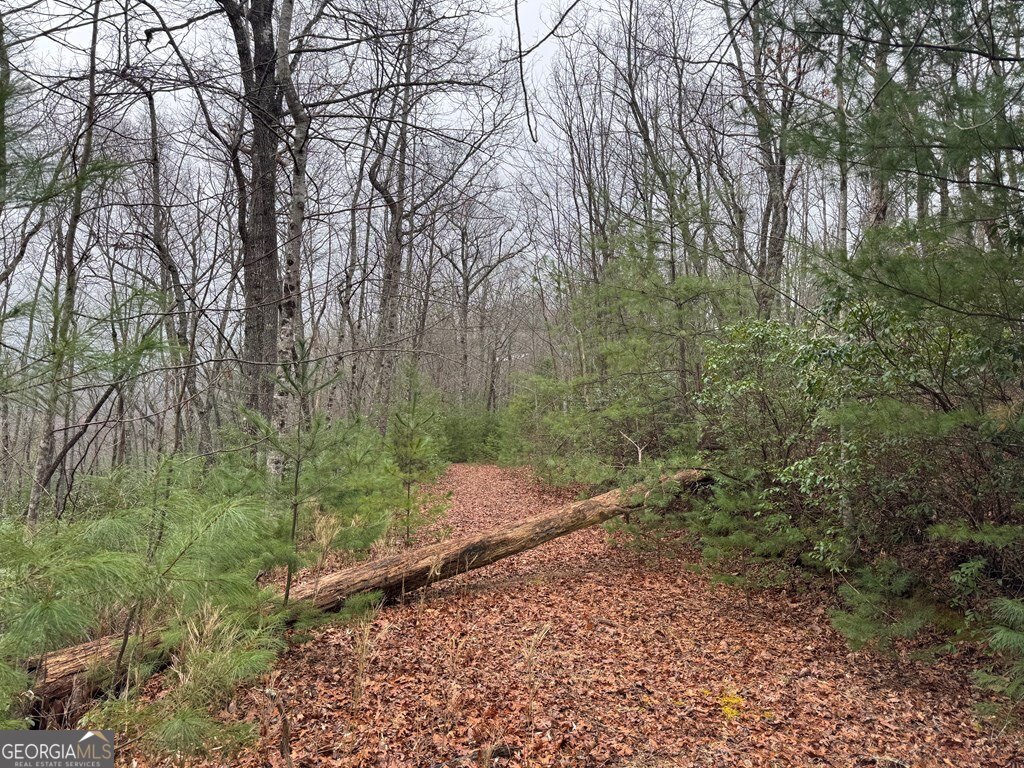 Lot 21 Whisper Ridge Court Hiawassee GA 30546