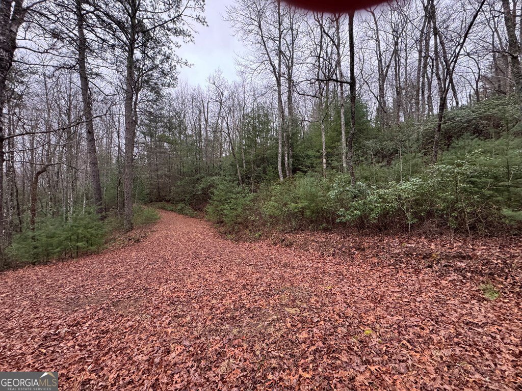Lot 21 Whisper Ridge Court Hiawassee GA 30546
