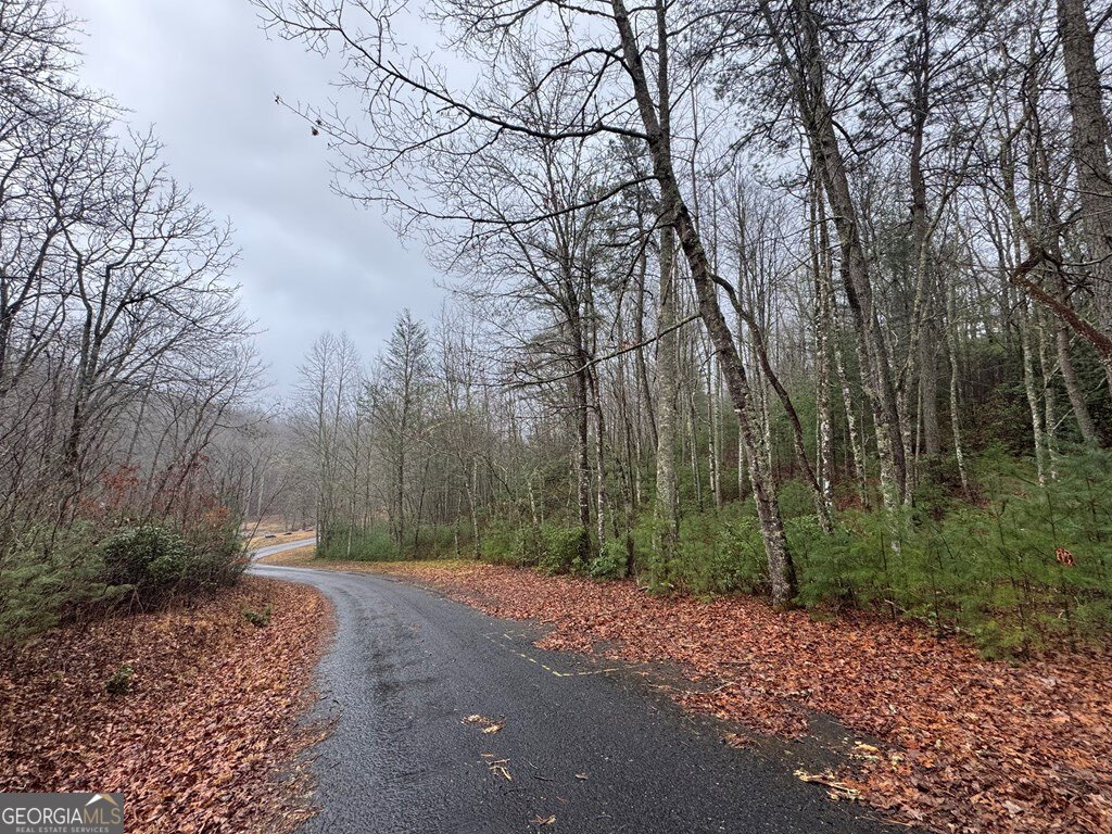Lot 21 Whisper Ridge Court Hiawassee GA 30546