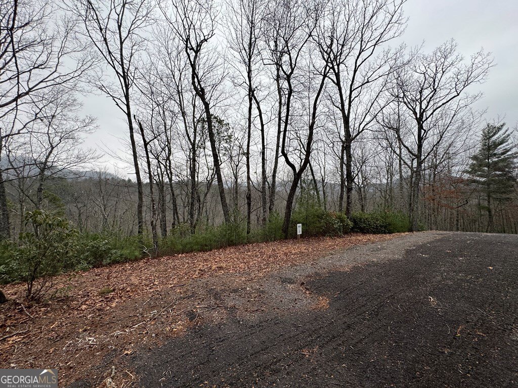 Lot 21 Whisper Ridge Court Hiawassee GA 30546