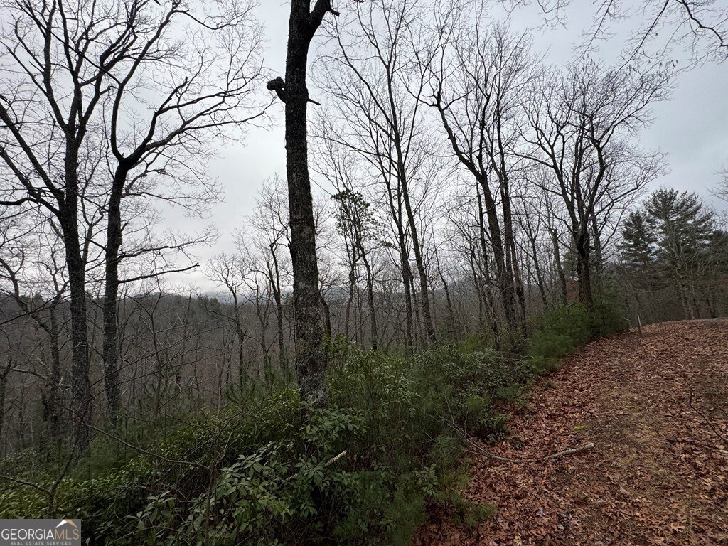 Lot 21 Whisper Ridge Court Hiawassee GA 30546