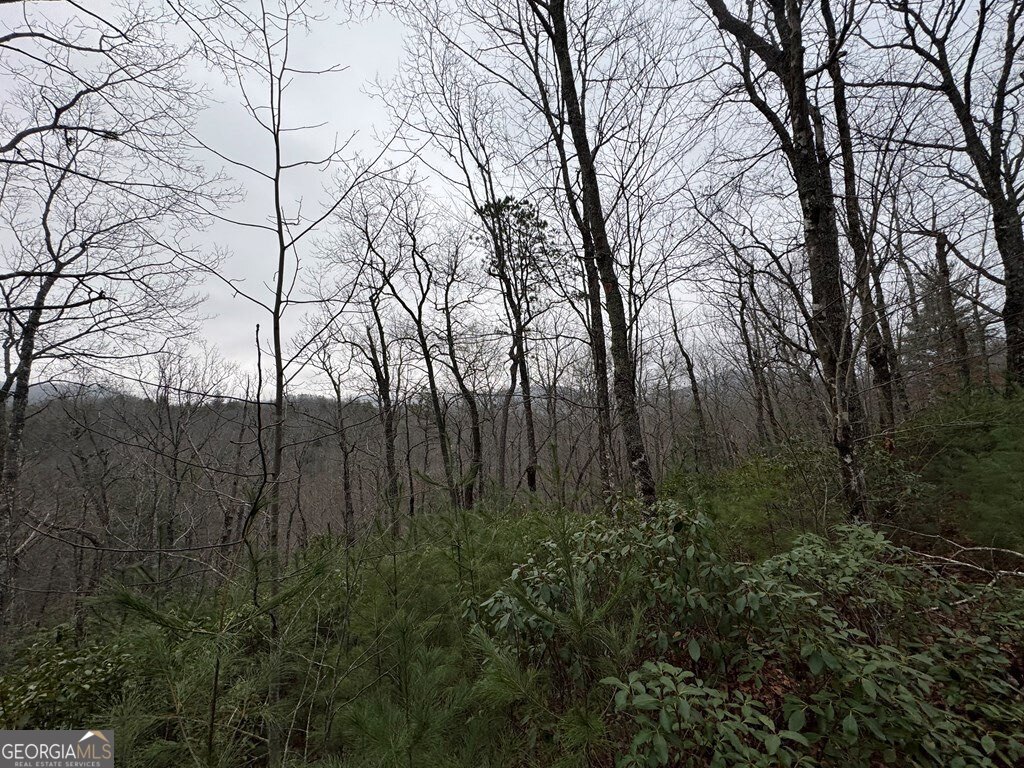 Lot 21 Whisper Ridge Court Hiawassee GA 30546