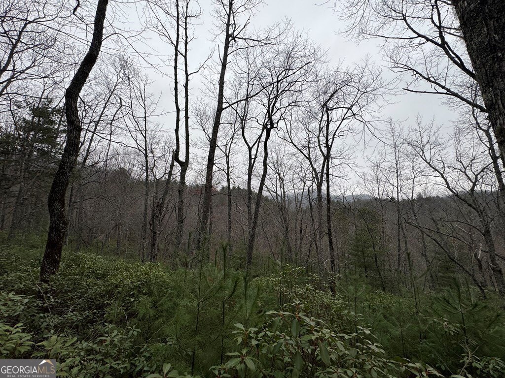 Lot 21 Whisper Ridge Court Hiawassee GA 30546