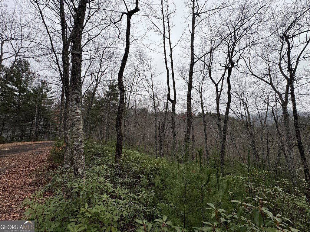 Lot 21 Whisper Ridge Court Hiawassee GA 30546