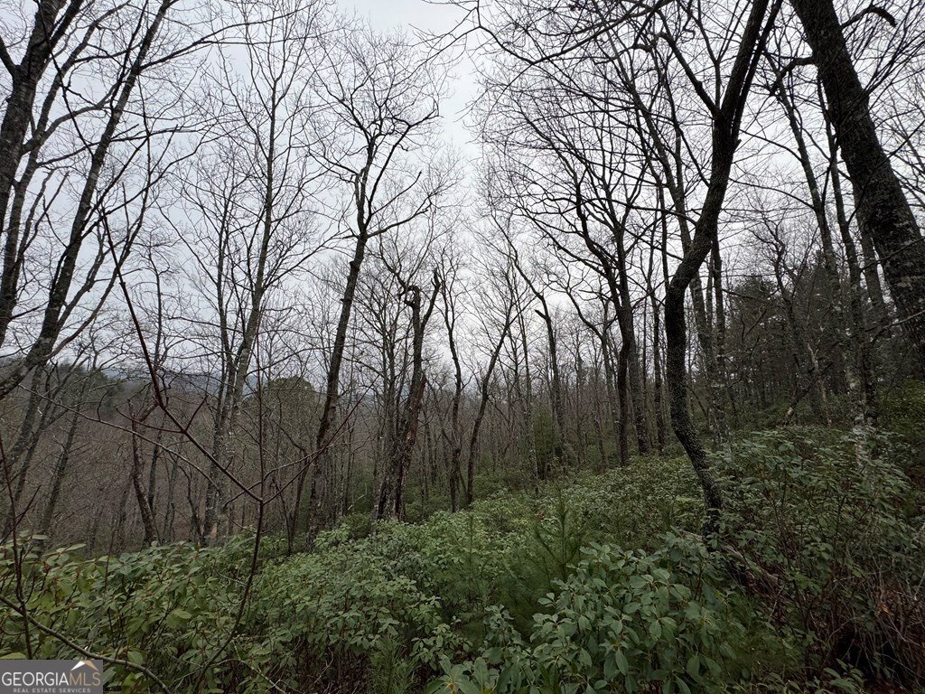 Lot 21 Whisper Ridge Court Hiawassee GA 30546