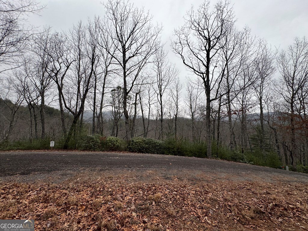 Lot 21 Whisper Ridge Court Hiawassee GA 30546