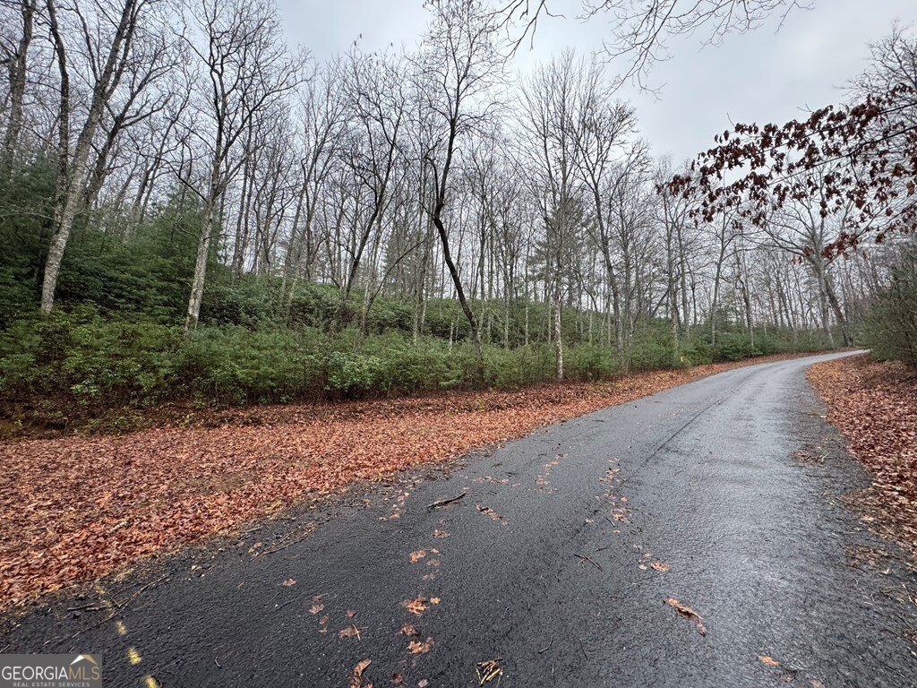 Lot 21 Whisper Ridge Court Hiawassee GA 30546
