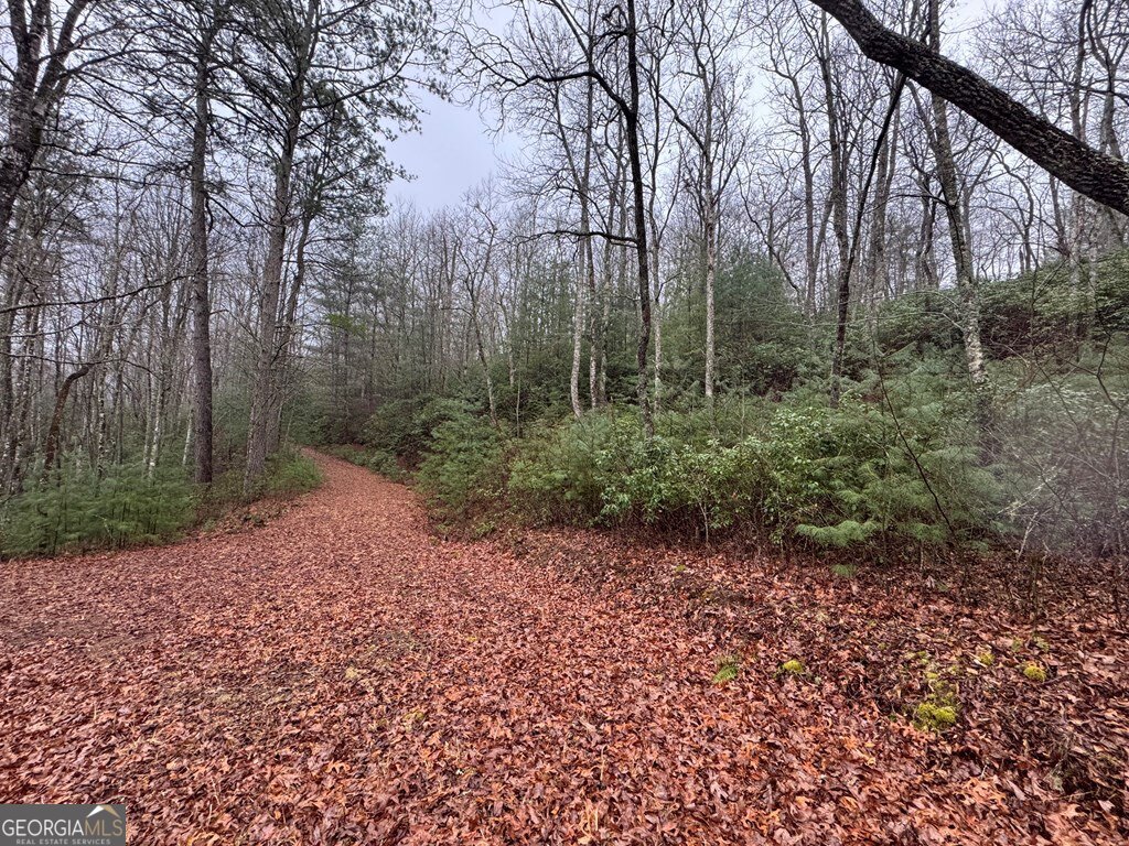 Lot 21 Whisper Ridge Court Hiawassee GA 30546
