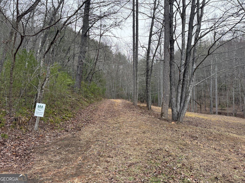 Lot 21 Whisper Ridge Court Hiawassee GA 30546