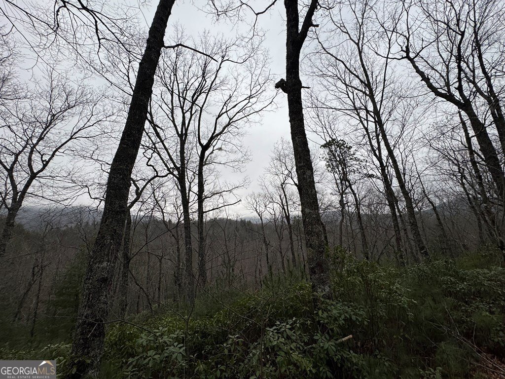 Lot 21 Whisper Ridge Court Hiawassee GA 30546