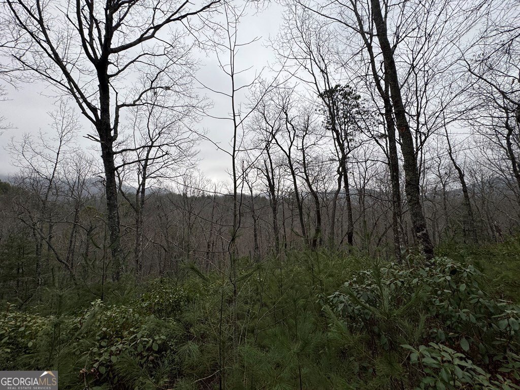 Lot 21 Whisper Ridge Court Hiawassee GA 30546