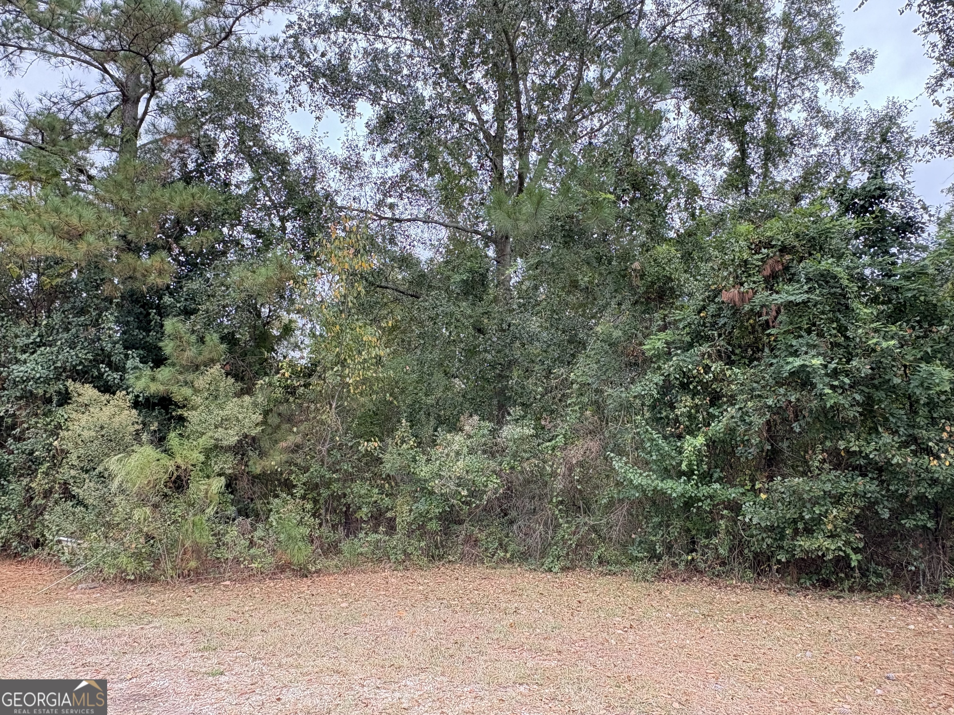 6005 Miltie Street Albany GA 31705