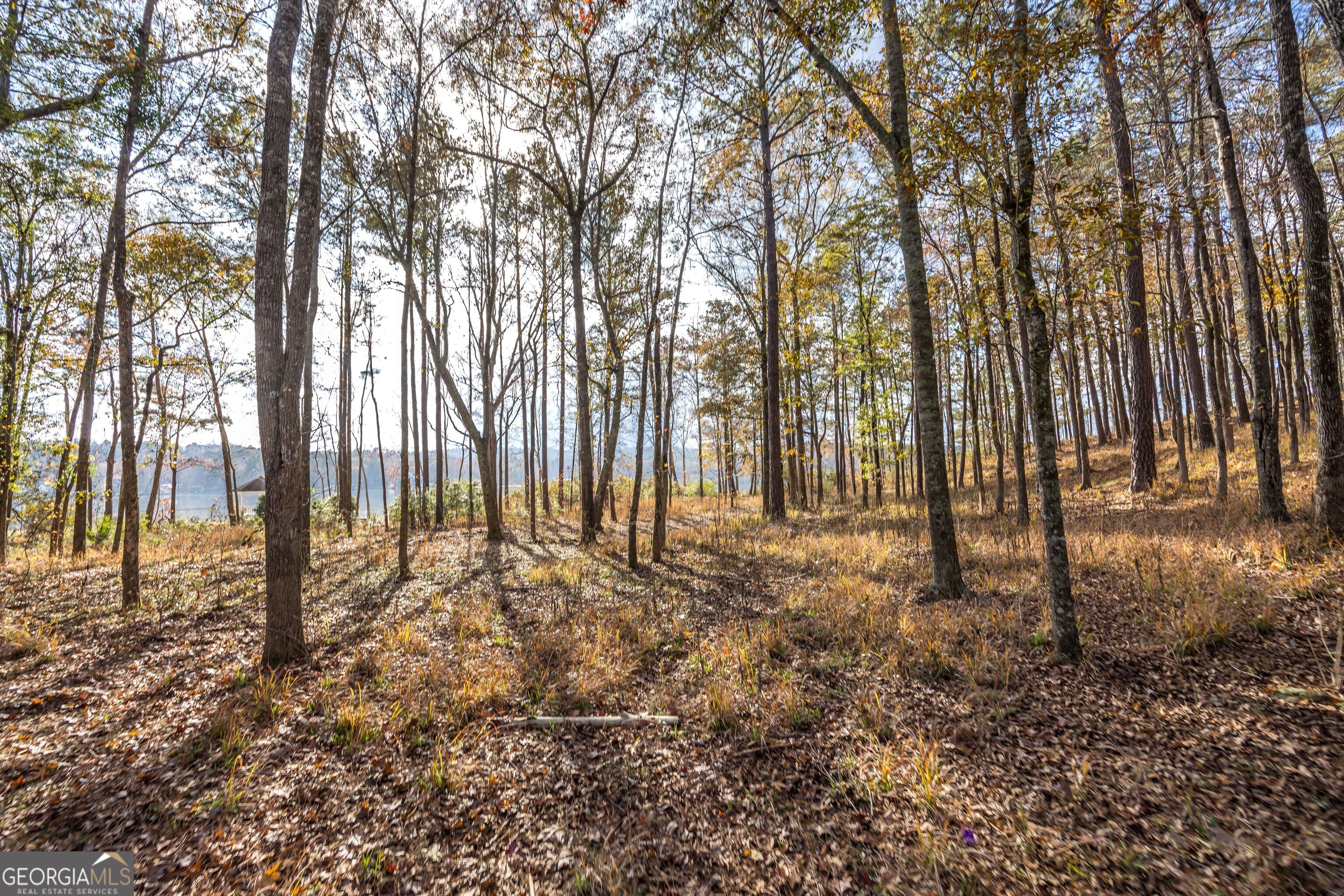 Lot 100 Rolling Bend Road Columbus GA 31904