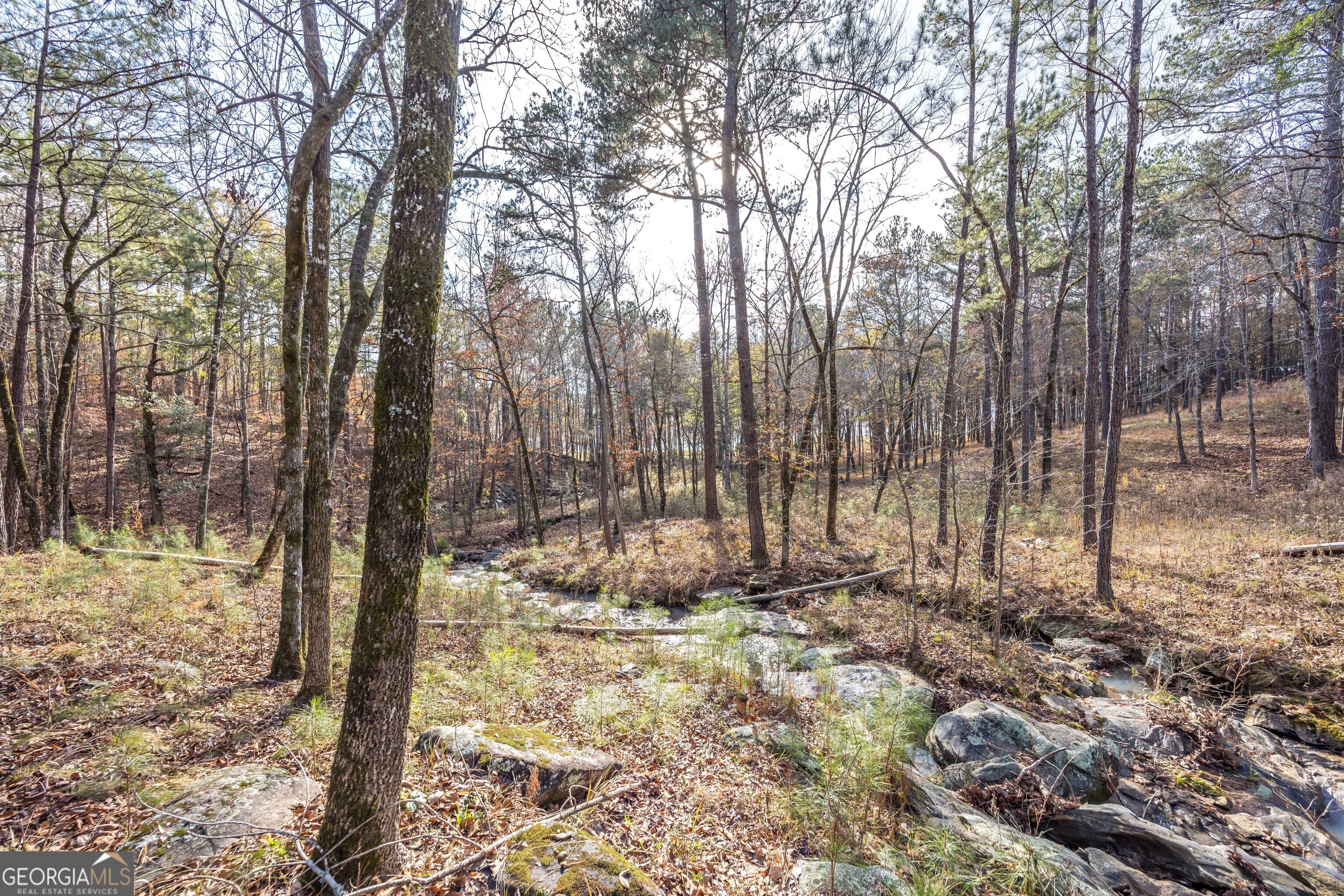 Lot 100 Rolling Bend Road Columbus GA 31904