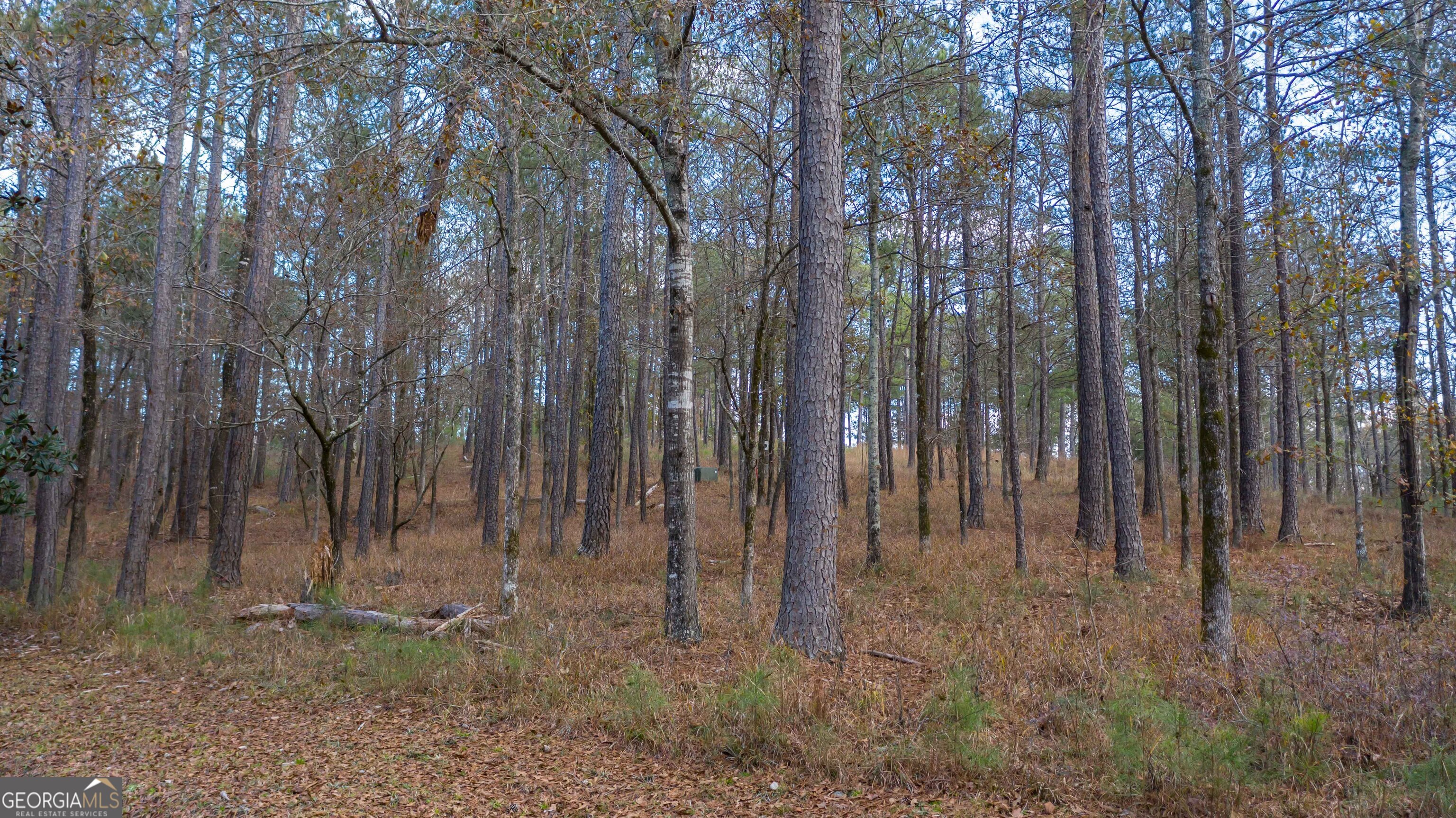 Lot 100 Rolling Bend Road Columbus GA 31904