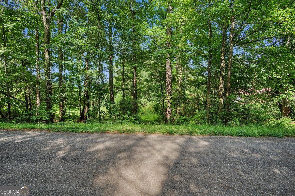 0 Windom Road Tallapoosa GA 30176