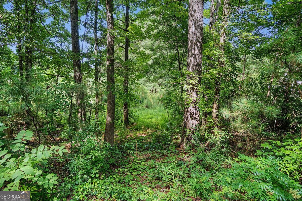 0 Windom Road Tallapoosa GA 30176