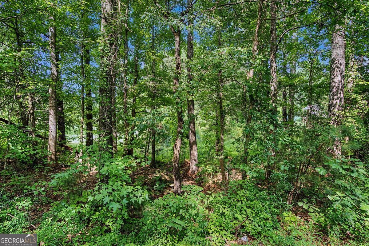0 Windom Road Tallapoosa GA 30176