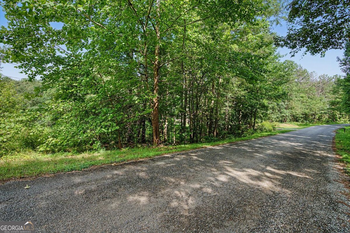 0 Windom Road Tallapoosa GA 30176
