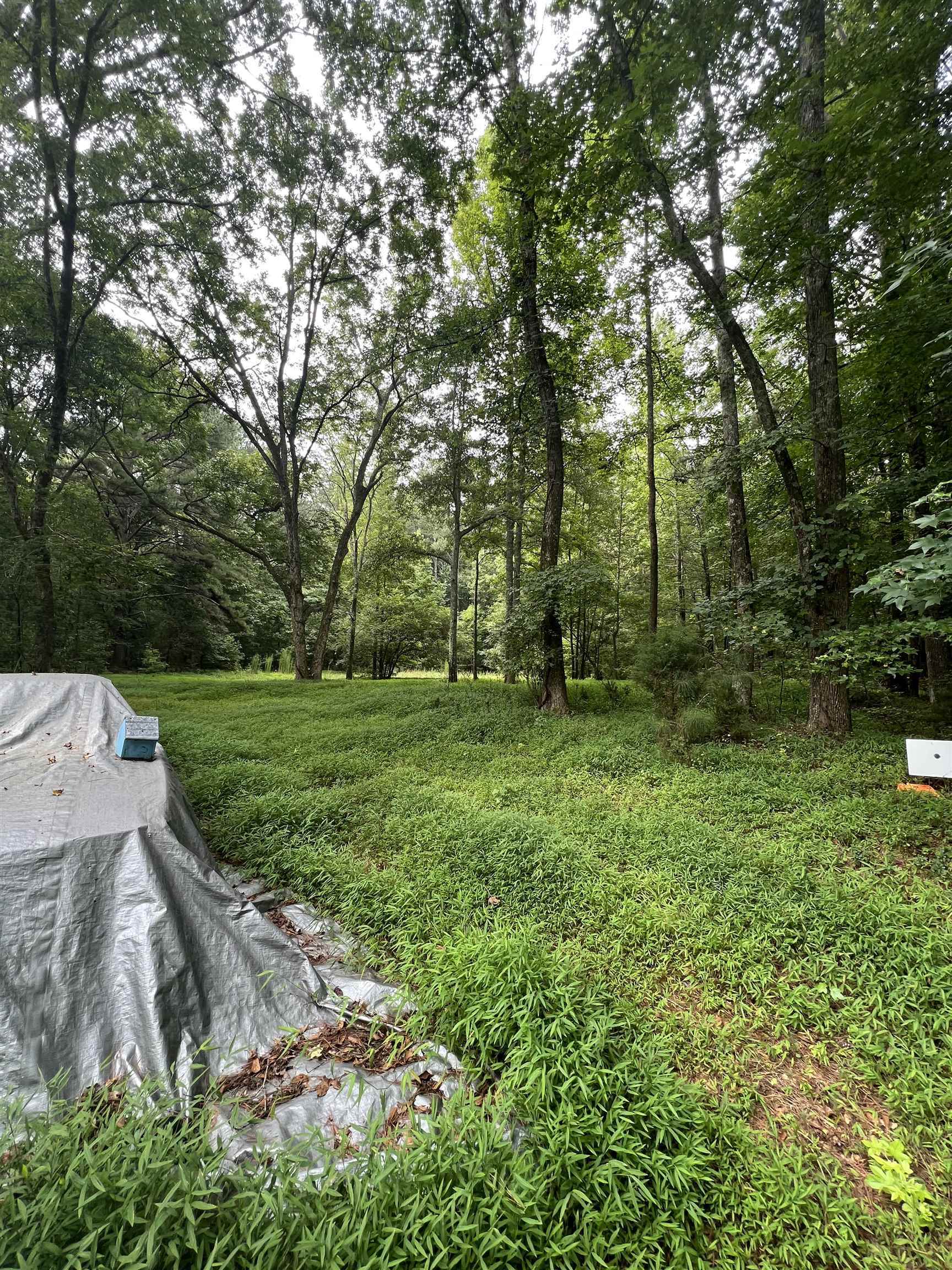 865 S Jeff Davis Drive Fayetteville GA 30215