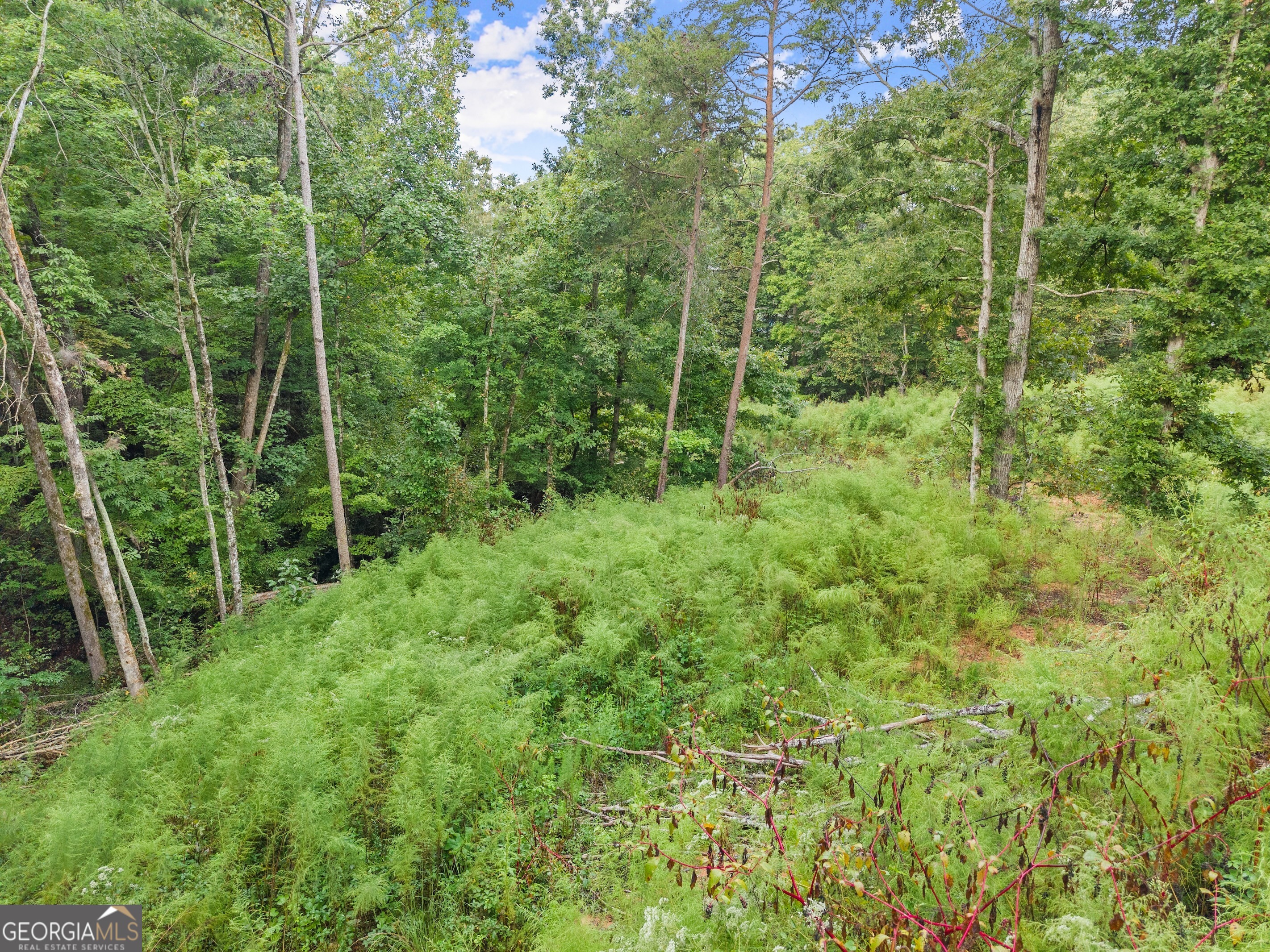 4193 Cagle Road Lula GA 30554