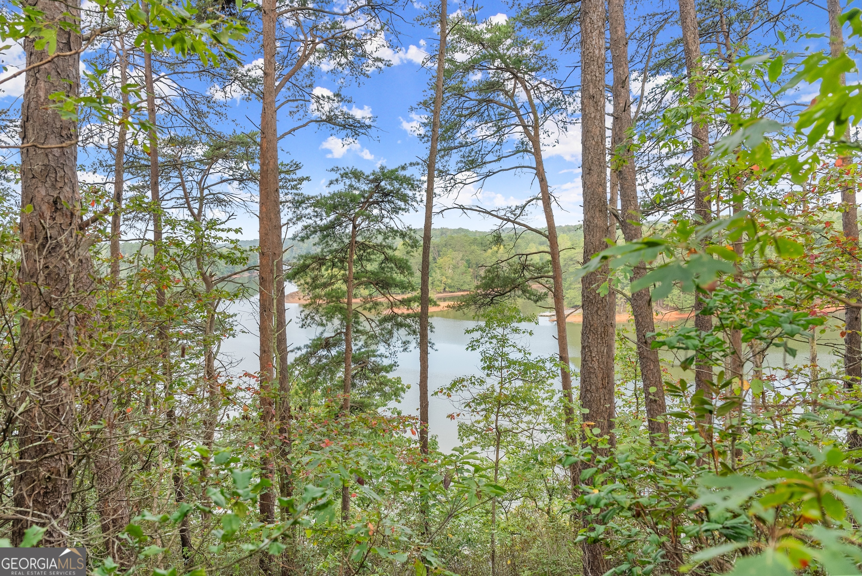 4193 Cagle Road Lula GA 30554